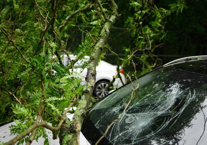 Trafik Sigortası Cam Değişimi