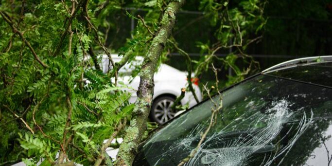 Trafik Sigortası Cam Değişimi Trafik Sigortası Cam Değişimi